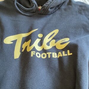 Nike Team Hoodie in washed Black